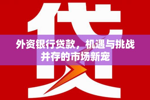临县外资银行贷款，机遇与挑战并存的市场新宠