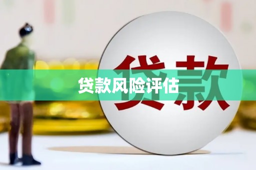 临县贷款风险评估