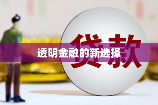 临县透明金融的新选择