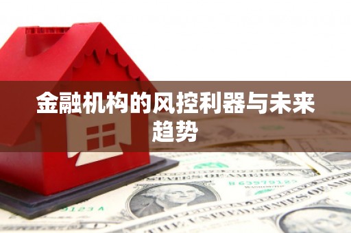 临县金融机构的风控利器与未来趋势