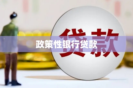 临县政策性银行贷款