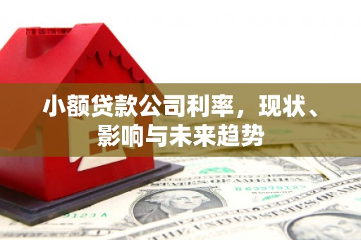 临县小额贷款公司利率，现状、影响与未来趋势