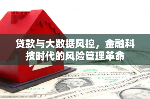临县贷款与大数据风控，金融科技时代的风险管理革命