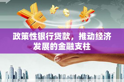 临县政策性银行贷款，推动经济发展的金融支柱