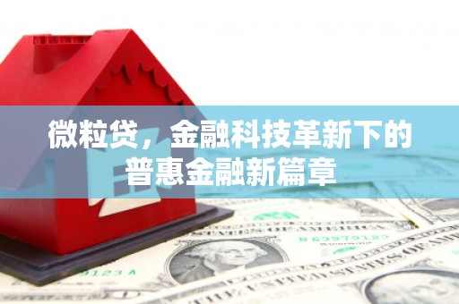 临县微粒贷，金融科技革新下的普惠金融新篇章