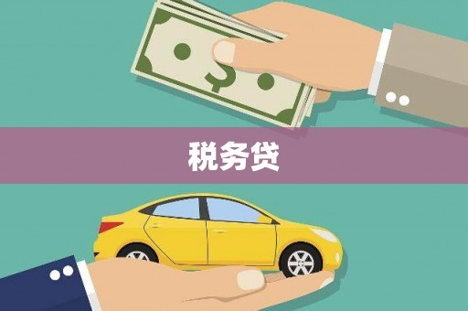 临县税务贷