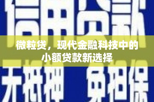临县微粒贷，现代金融科技中的小额贷款新选择