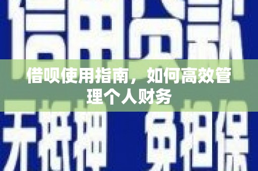 临县借呗使用指南，如何高效管理个人财务