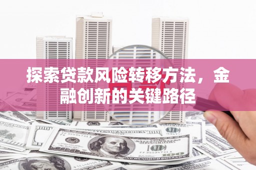 临县探索贷款风险转移方法，金融创新的关键路径