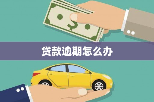 临县贷款逾期怎么办