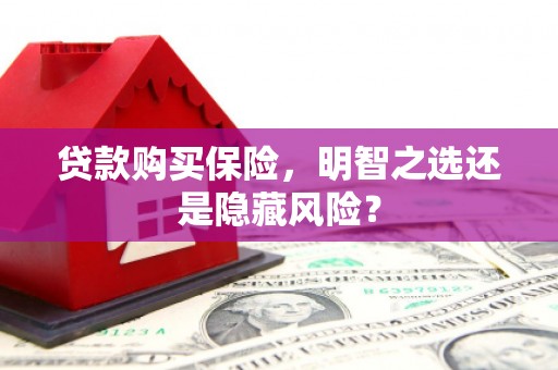 临县贷款购买保险，明智之选还是隐藏风险？