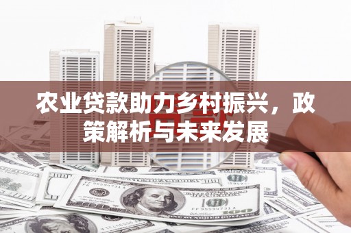 临县农业贷款助力乡村振兴，政策解析与未来发展