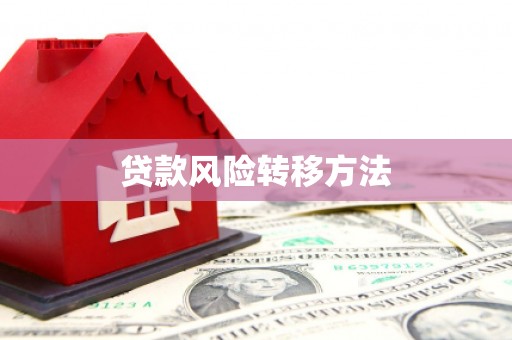 临县贷款风险转移方法