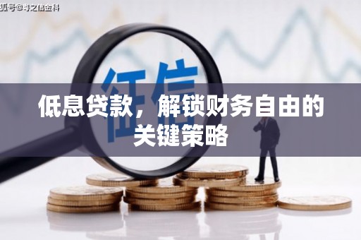 临县低息贷款，解锁财务自由的关键策略