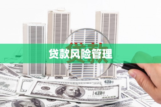 临县贷款风险管理