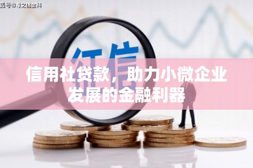 临县信用社贷款，助力小微企业发展的金融利器