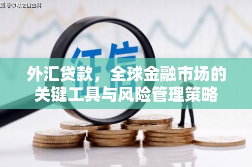 临县外汇贷款，全球金融市场的关键工具与风险管理策略