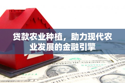 临县贷款农业种植，助力现代农业发展的金融引擎
