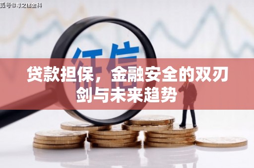临县贷款担保，金融安全的双刃剑与未来趋势