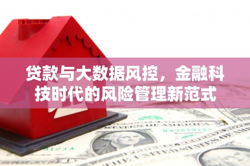 临县贷款与大数据风控，金融科技时代的风险管理新范式