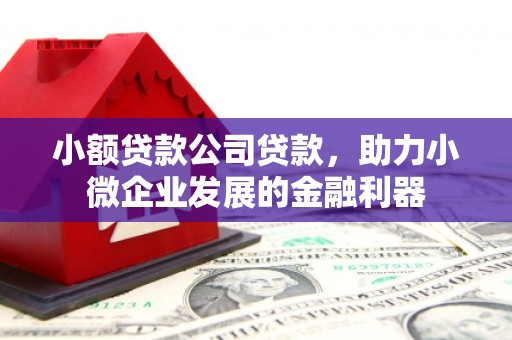 临县小额贷款公司贷款，助力小微企业发展的金融利器