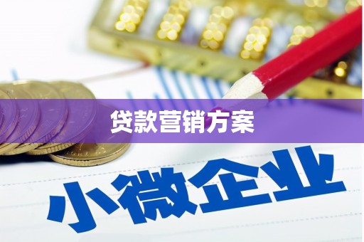 临县贷款营销方案