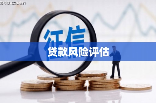 临县贷款风险评估