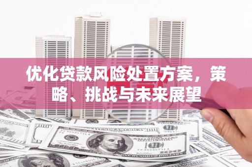 临县优化贷款风险处置方案，策略、挑战与未来展望