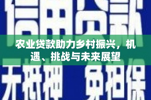 临县农业贷款助力乡村振兴，机遇、挑战与未来展望