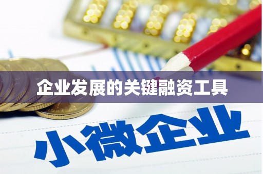 临县企业发展的关键融资工具