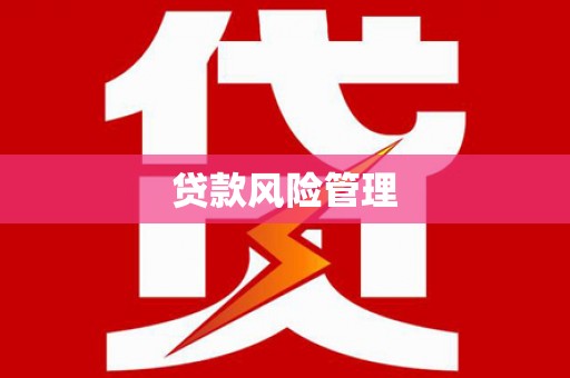 临县贷款风险管理