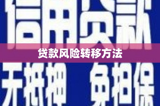 临县贷款风险转移方法