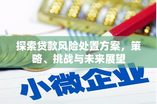 临县探索贷款风险处置方案，策略、挑战与未来展望