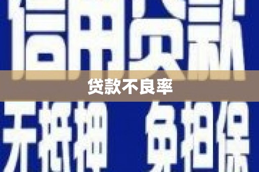 临县贷款不良率
