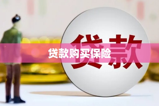 临县贷款购买保险