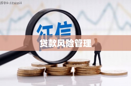 临县贷款风险管理