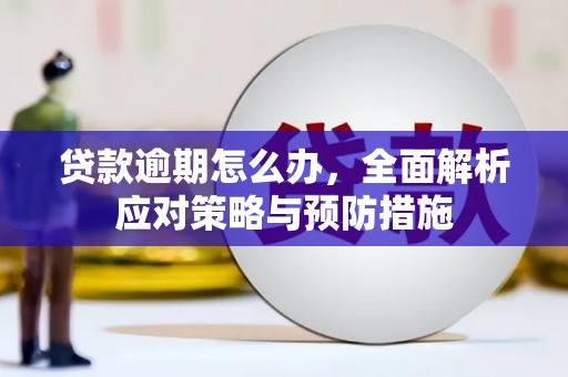 临县贷款逾期怎么办，全面解析应对策略与预防措施