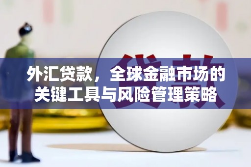临县外汇贷款，全球金融市场的关键工具与风险管理策略