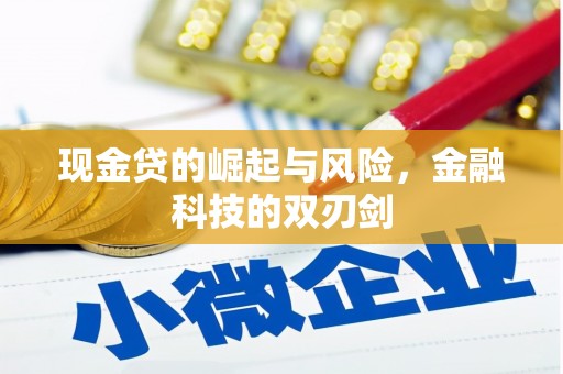 临县现金贷的崛起与风险，金融科技的双刃剑