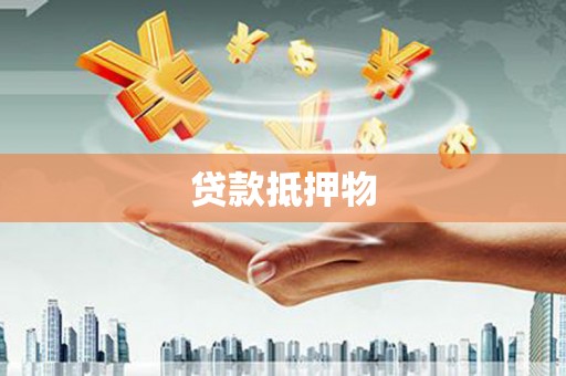 临县贷款抵押物