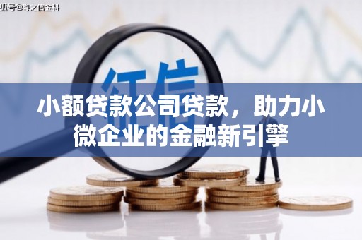 临县小额贷款公司贷款，助力小微企业的金融新引擎