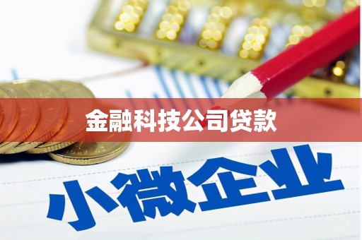 临县金融科技公司贷款