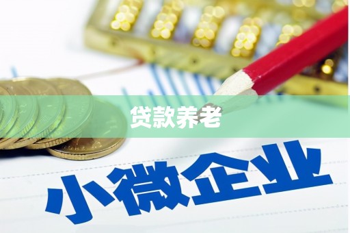 临县贷款养老