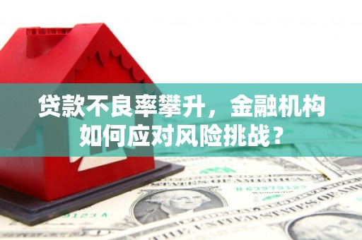 临县贷款不良率攀升，金融机构如何应对风险挑战？