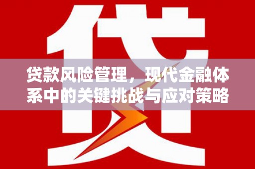 临县贷款风险管理，现代金融体系中的关键挑战与应对策略