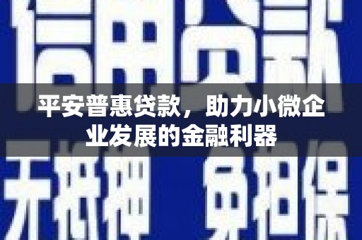 临县平安普惠贷款，助力小微企业发展的金融利器