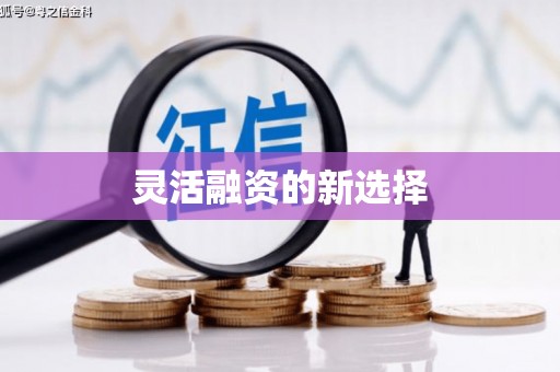 临县灵活融资的新选择