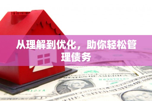 临县从理解到优化，助你轻松管理债务