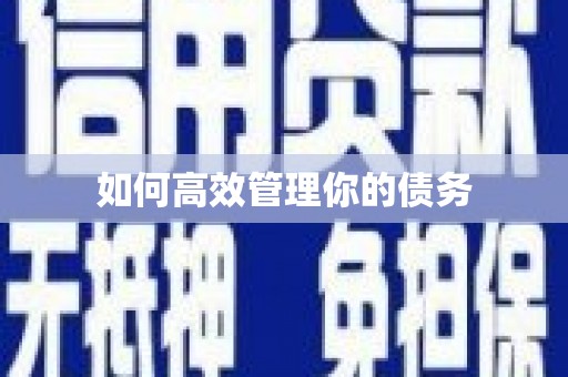 临县如何高效管理你的债务