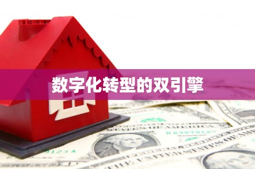 临县数字化转型的双引擎